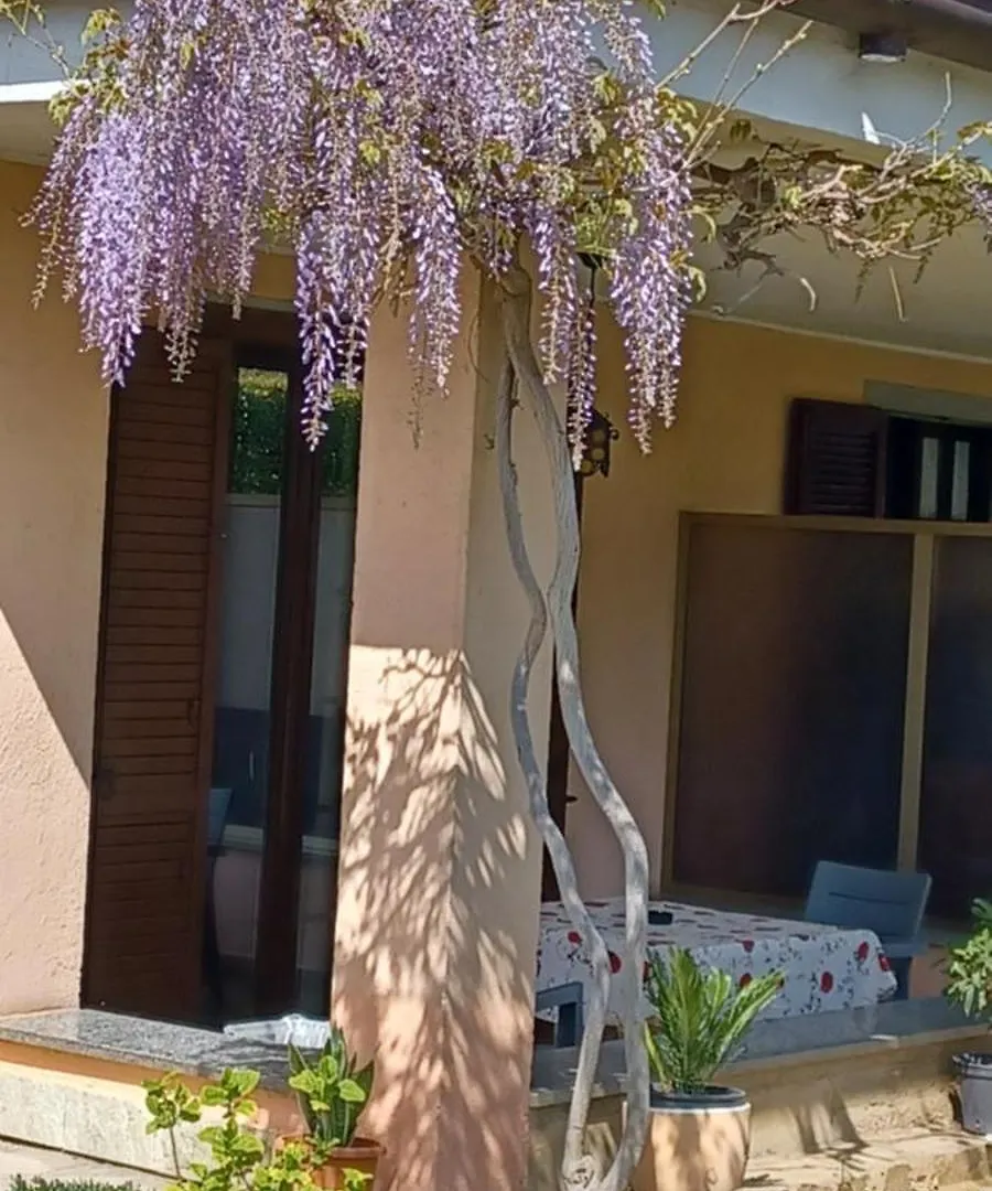 La Casa Di Juliette Appartement Merone Italië